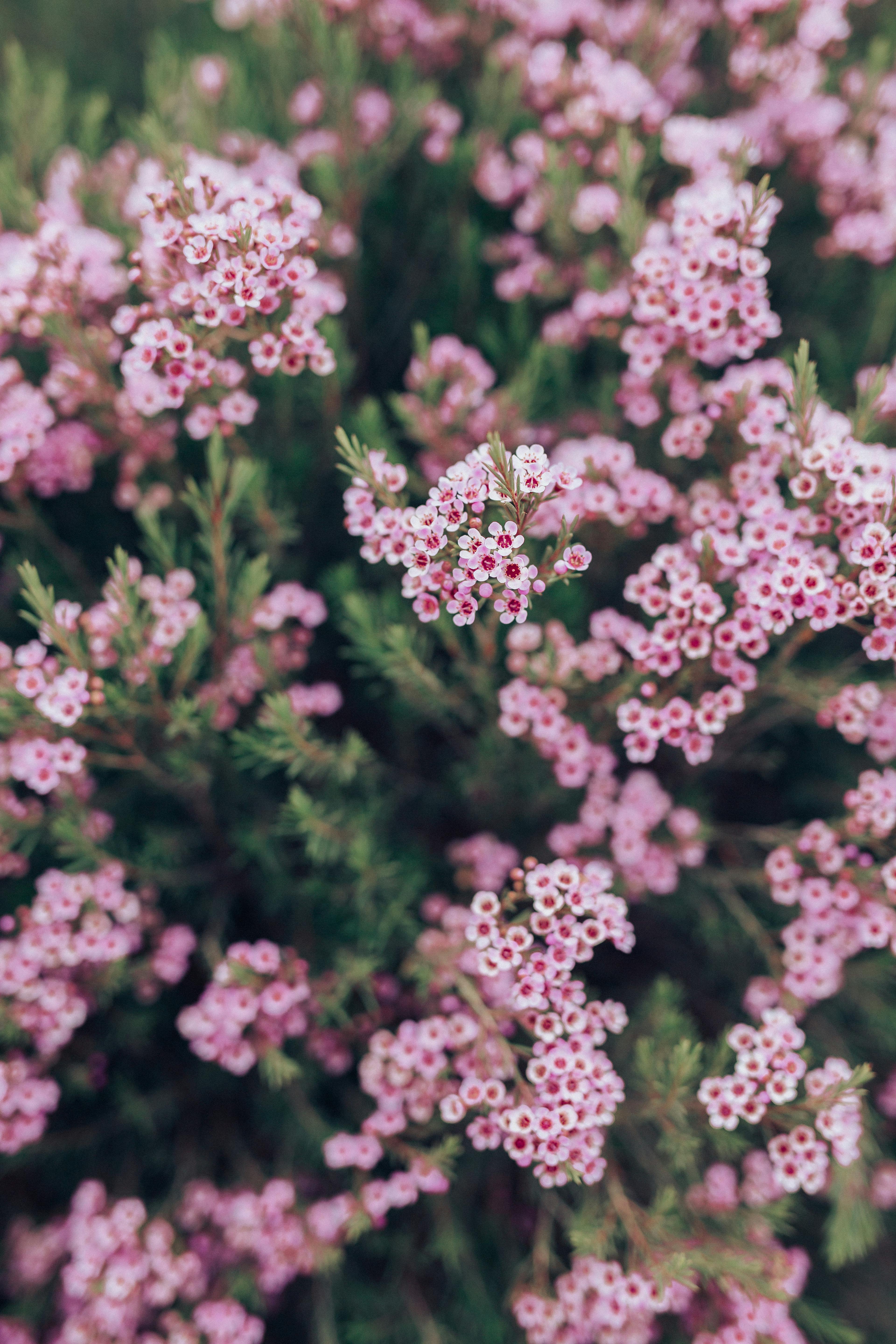 Read more about the article Heath Chapter 2 illustrated is live.